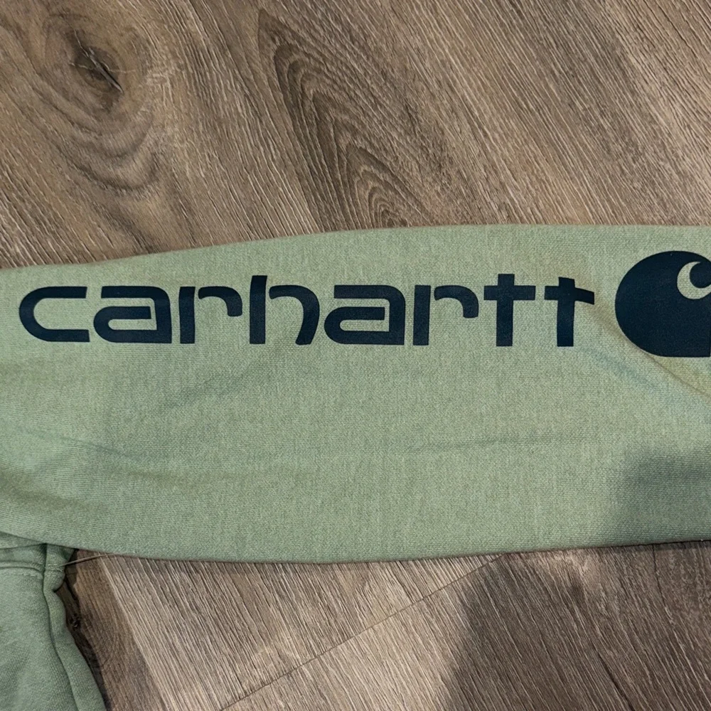 Carhartt Men's Sage Hoodie with Logo Sleeve - Picture 2 of 2